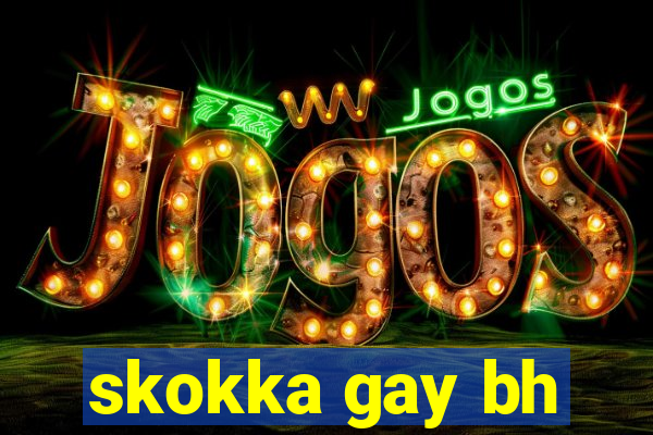 skokka gay bh